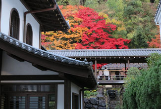 Kyoto Itinerary with Side Trips to Osaka and Nara