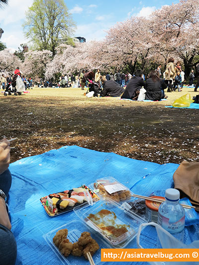 shinjuku gyoen hanami | shinjuku | best area to stay in tokyo