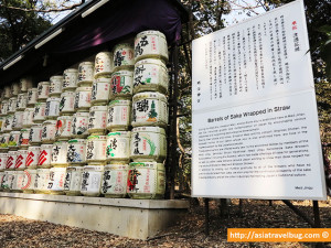 things to do in tokyo | meiji shrine