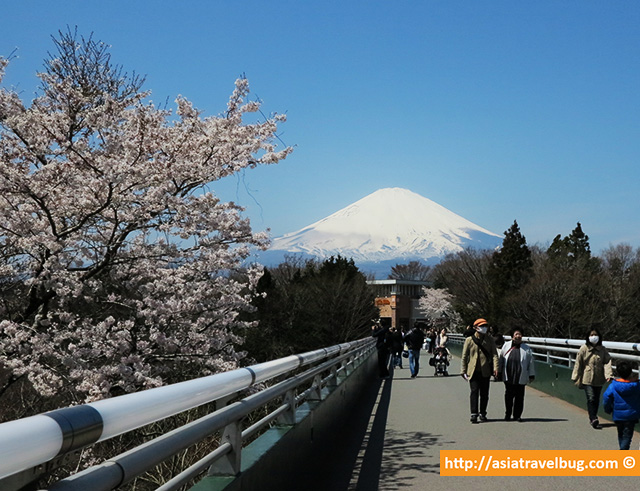 Mount Fuji The Geeky Guide To See Mount Fuji In Its Full Glory