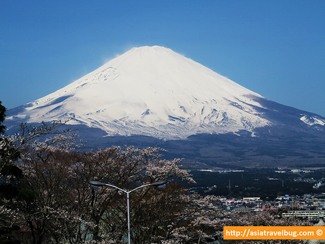 Mount Fuji View from Heiwa Park Gotemba