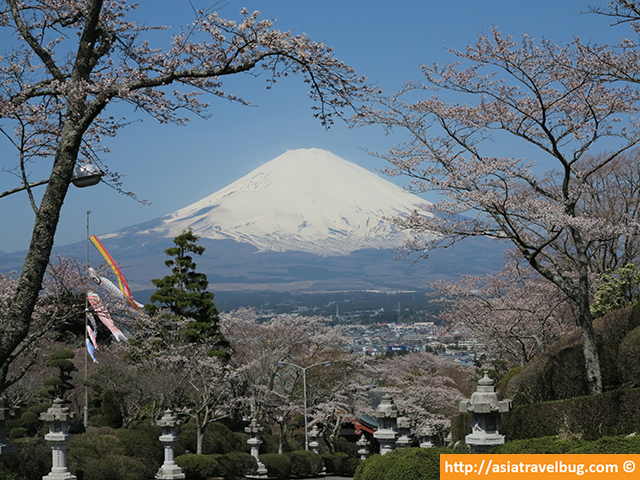 Mount Fuji View from Heiwa Park in Gotemba During Spring