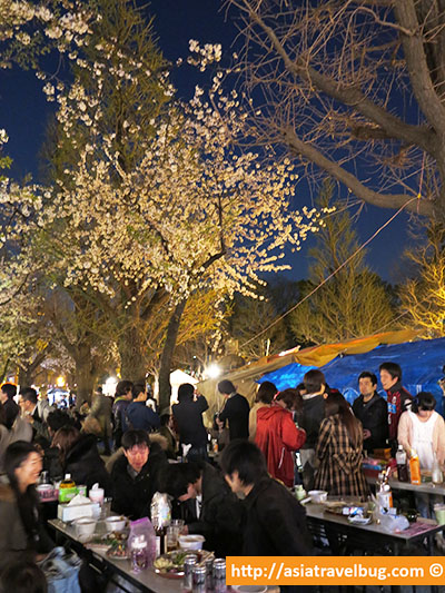 Street Food Dinner at Yasukini Shrine | Tokyo Itinerary Day 1