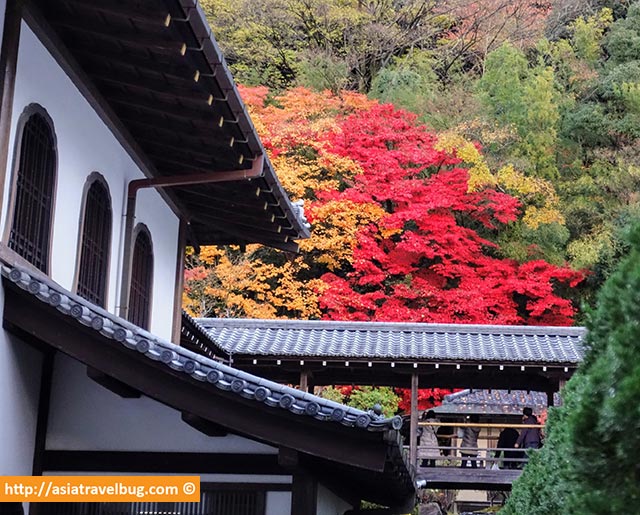 Autumn at Higashiyama Kyoto