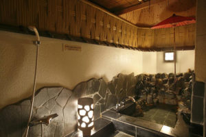 Ryokan Takemine Tokyo Premium Room with Semi Open Air Bath